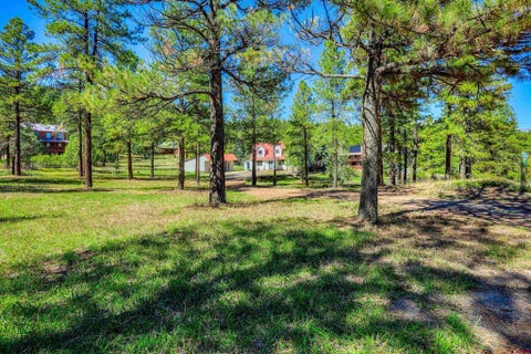 Photo of 224 Rainbow Drive, Pagosa Springs, CO 81147 (MLS # 839579)