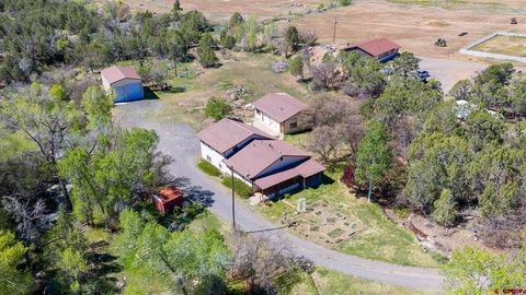 Photo of 463 NE Indian Camp Avenue, Cedaredge, CO 81413 (MLS # 834066)