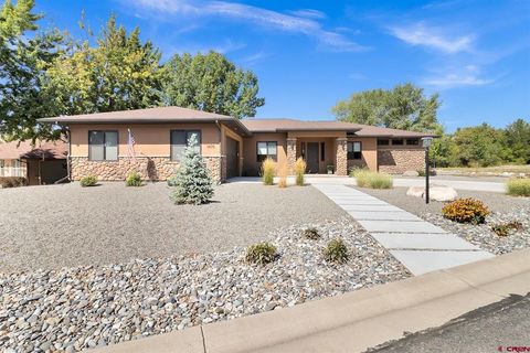 1470 SE Stonebridge Drive Cedaredge CO 81413