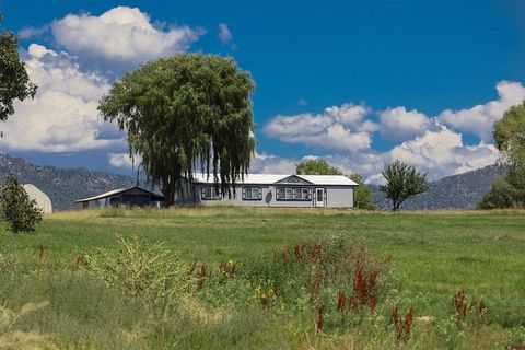 1019 County Road 330 Ignacio CO 81137