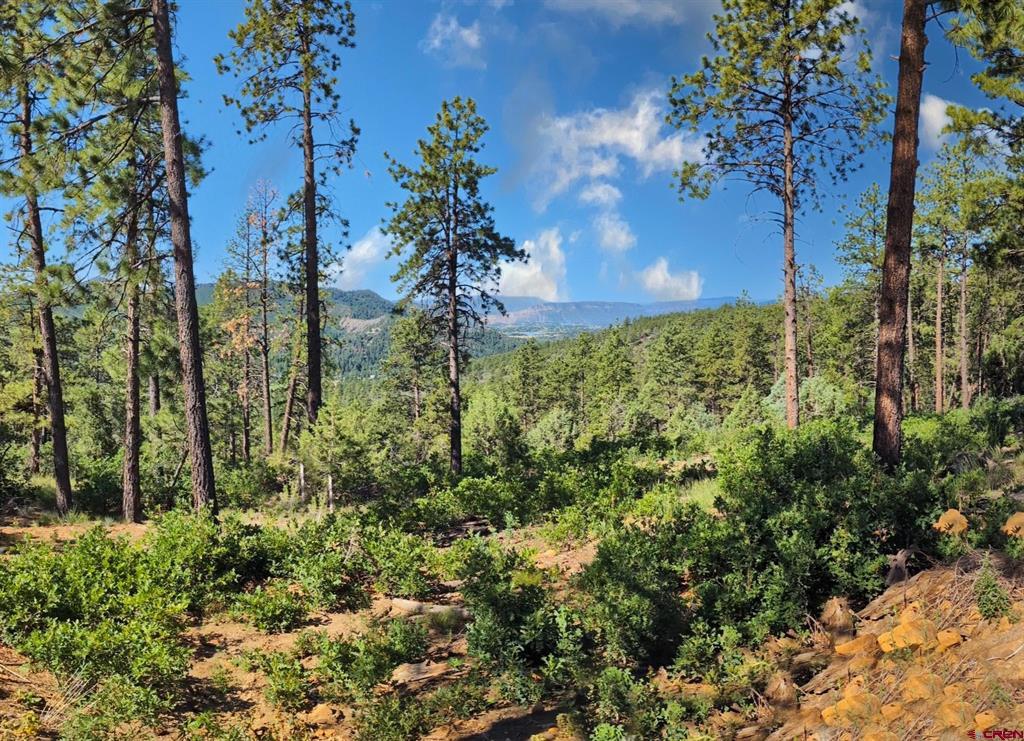 Durango, Colorado, 81301, United States, 3 Bedrooms Bedrooms, ,3 BathroomsBathrooms,Residential,Active,2017084