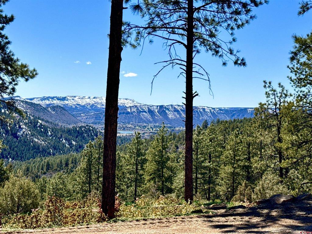 Durango, Colorado, 81301, United States, 3 Bedrooms Bedrooms, ,3 BathroomsBathrooms,Residential,Active,2017084