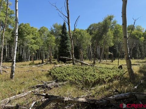 121 Ridge Road Cimarron CO 81220