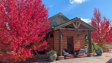 10266 Road 35 Mancos CO 81328