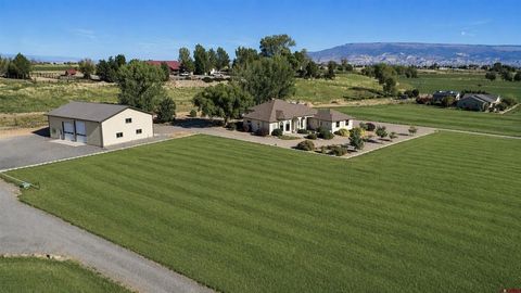 Photo of 2357 5500 Road, Delta, CO 81416 (MLS # 833908)
