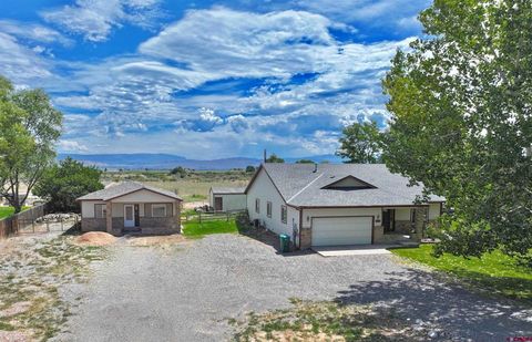 14444 6215 Road Montrose CO 81403