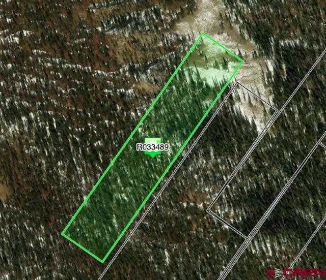 TBD White Pine Upper Tomichi