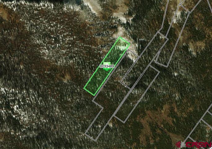 TBD White Pine Upper Tomichi