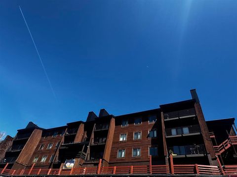 32 Hunter Hill Road B-202 Mt. Crested Butte CO 81225