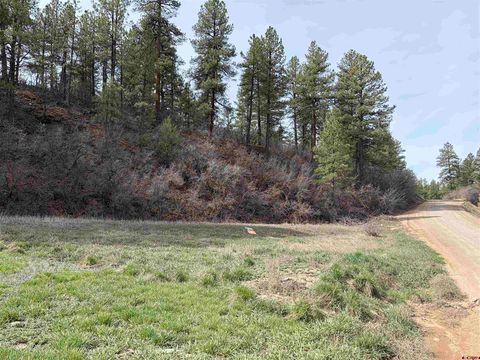 267 River Run Drive Pagosa Springs CO 81147