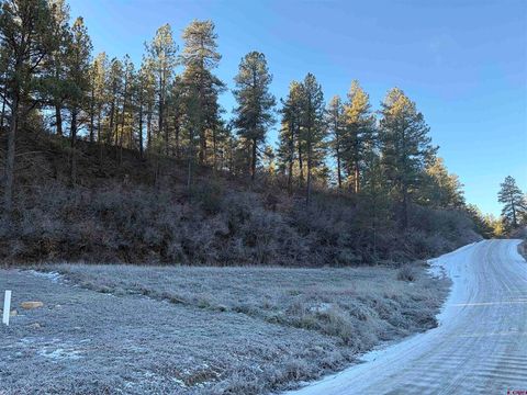 267 River Run Drive Pagosa Springs CO 81147