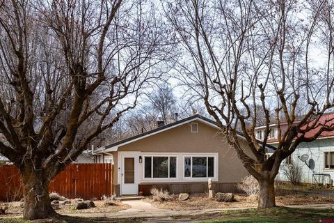 Photo of 322 North Fork Avenue, Paonia, CO 81428 (MLS # 832448)