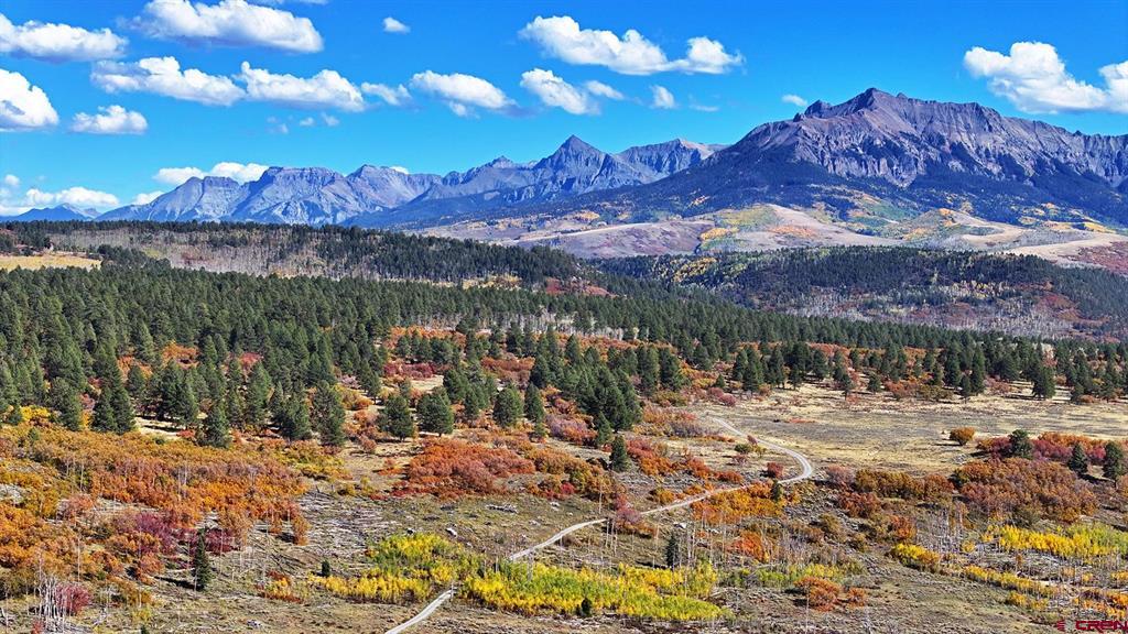 1250 McKenzie Springs Road