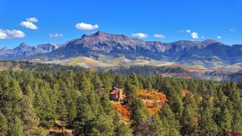 1250 McKenzie Springs Road Placerville CO 81430