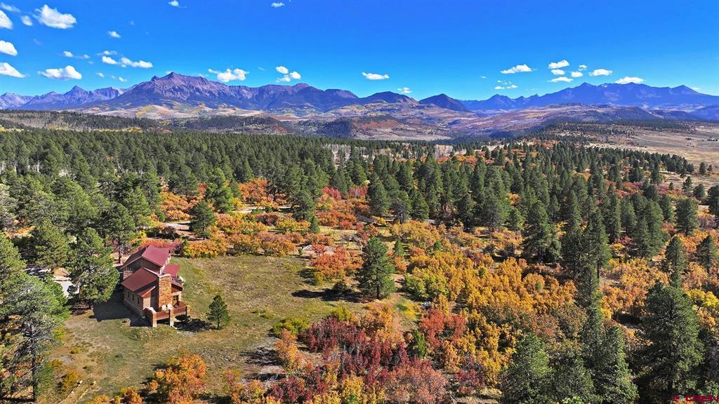 1250 McKenzie Springs Road