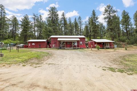 1199 & 1242 E Stollsteimer Road Pagosa Springs CO 81147