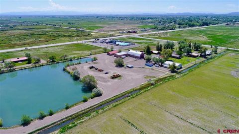 5895 Highway 17 Alamosa CO 81101