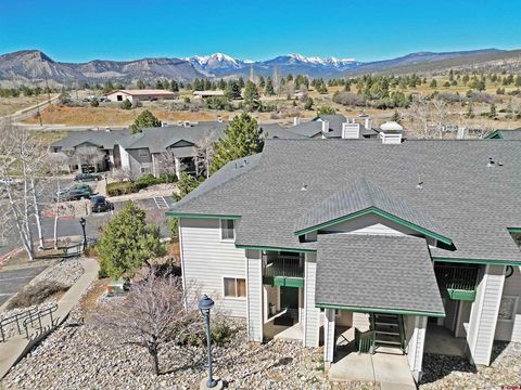 1100 Goeglein Gulch Road 223 Durango CO 81301