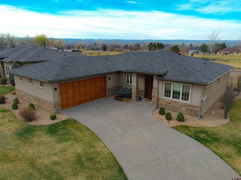 Photo of 3824 McMasters Place, Montrose, CO 81403 (MLS # 832505)