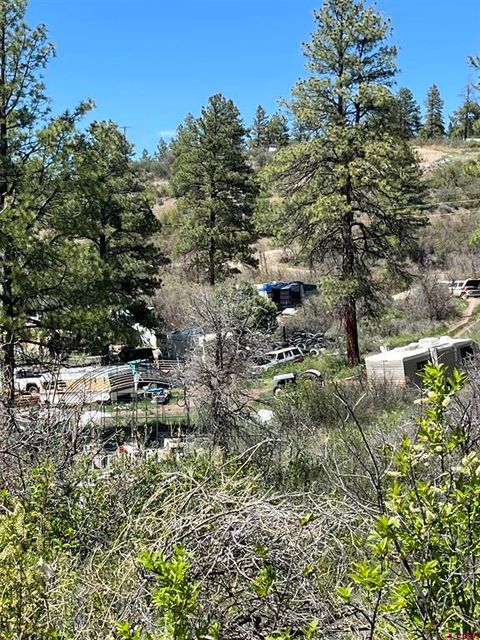 367 Echo Ln. Pagosa Springs CO 81147
