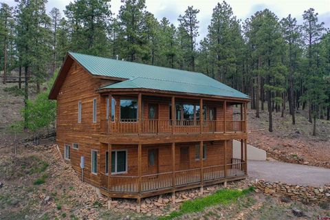 1043 Deer Ridge Drive Bayfield CO 81122
