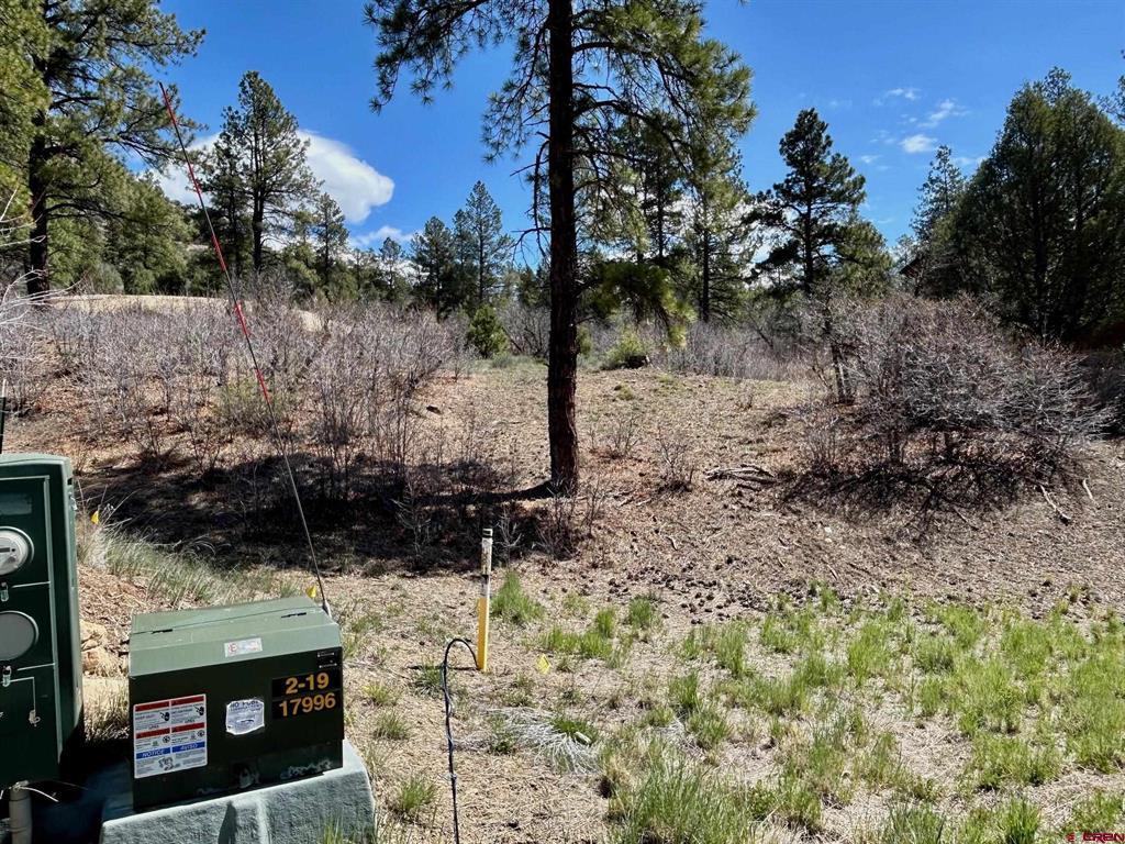 24 Bell Flower Court