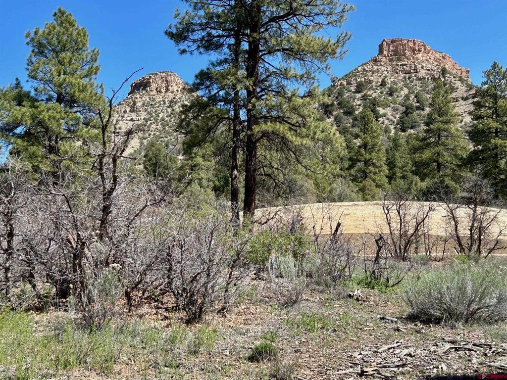 24 Bell Flower Court