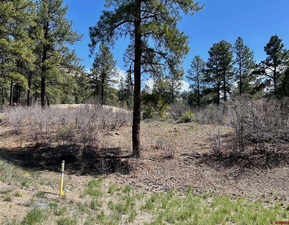 24 Bell Flower Court