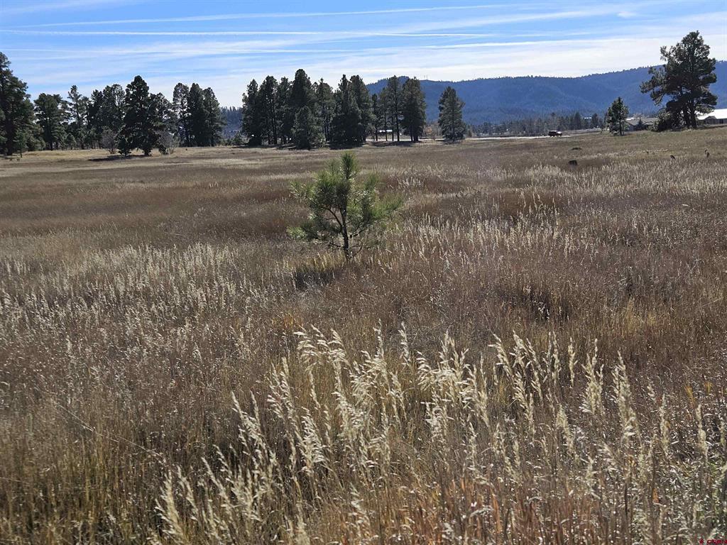 Photo 1 of 13 — 97 Sandlewood Drive, Pagosa Springs, CO 81147
