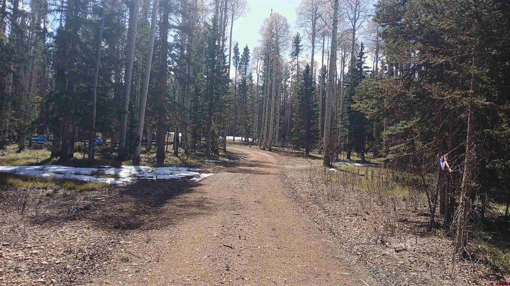 395 Aspen Trail