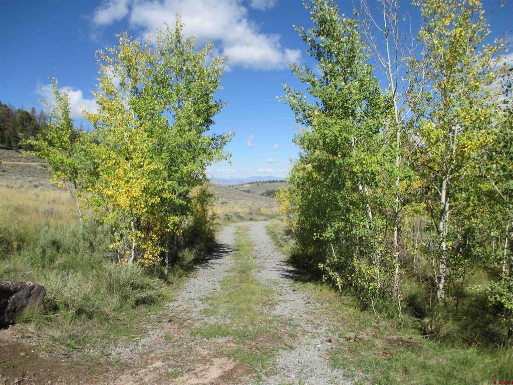 44 Gothic Trail
