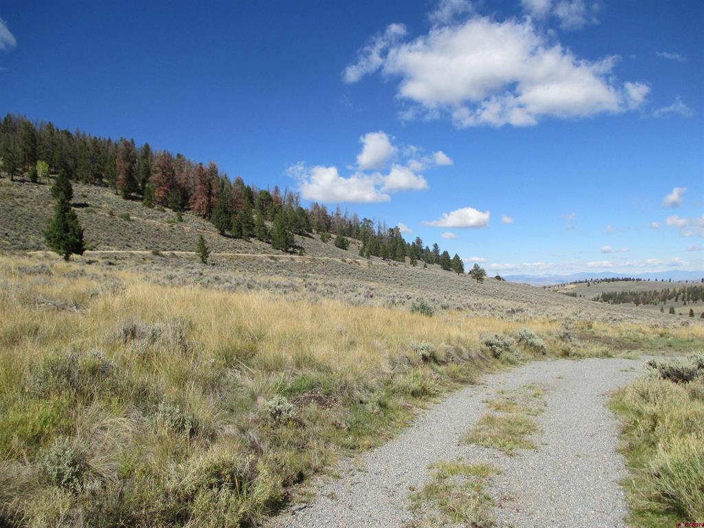 44 Gothic Trail
