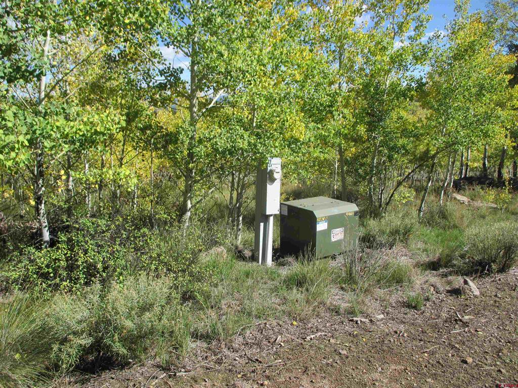 44 Gothic Trail