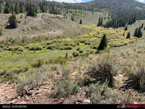 Photo of TBD Sandy Road, Powderhorn, CO 81243 (MLS # 839195)