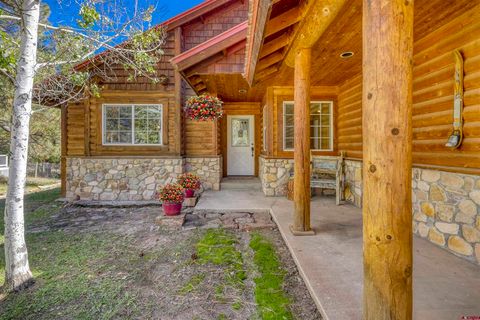 698 Monument Avenue Pagosa Springs CO 81147