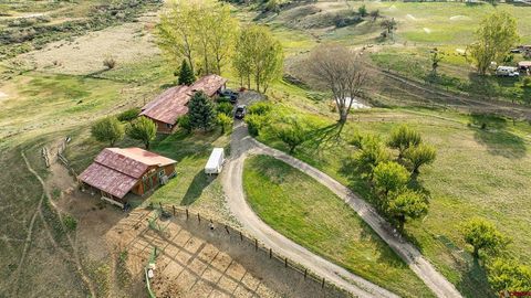 Photo of 37760 Back River Road, Paonia, CO 81428 (MLS # 834015)