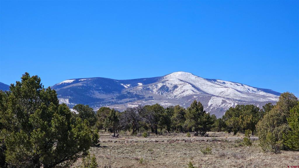 4402 Bear Creek Circle