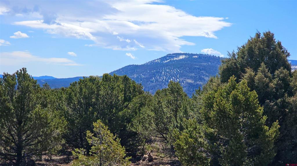 4402 Bear Creek Circle