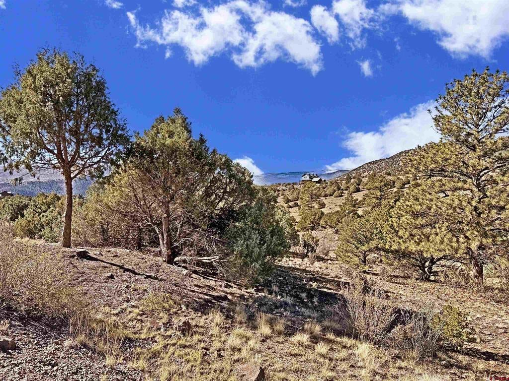 3869 Bear Creek Circle
