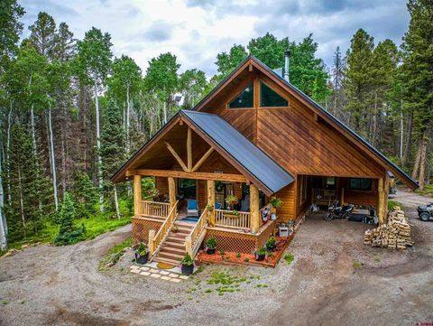 175 Aspen Trail Cimarron CO 81220