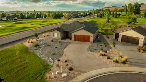 Photo of 3800 McMasters Place, Montrose, CO 81403 (MLS # 832455)