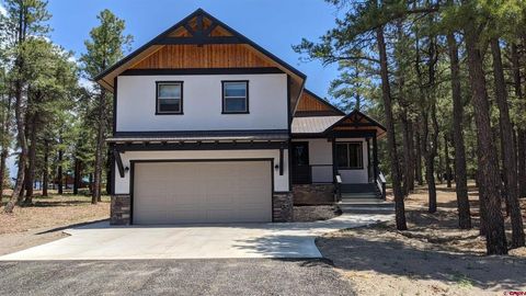 377 Lakewood Street Pagosa Springs CO 81147