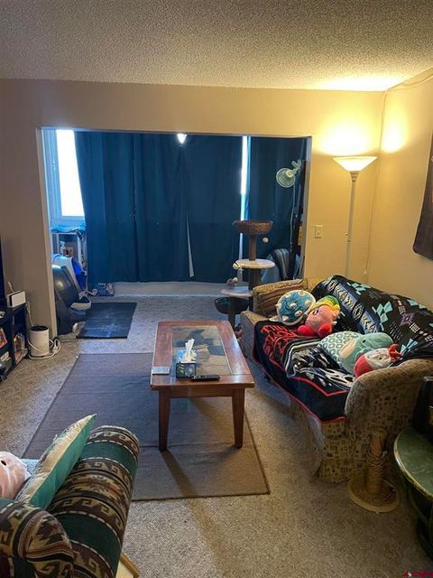 1135 Florida Road A8 Durango CO 81301