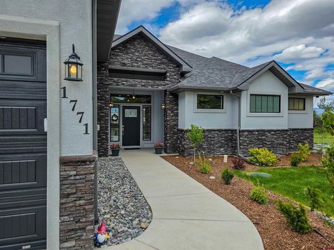 1771 Trappers Court Delta CO 81416