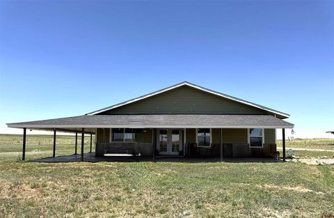 18606 Road Z Yellow Jacket CO 81335