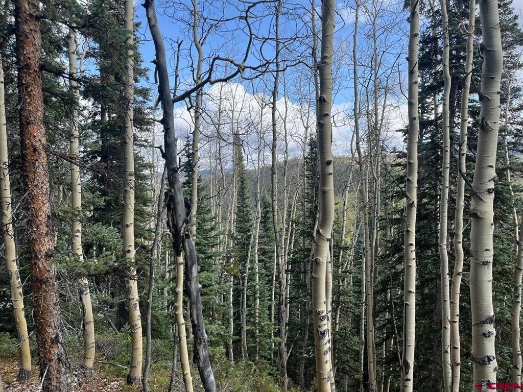 400 Forest Service Road 550 Road