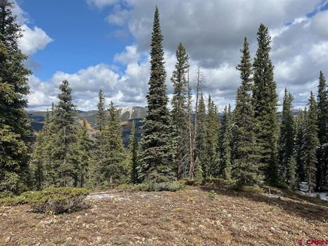400 Forest Service Road 550 Road Almont CO 81210