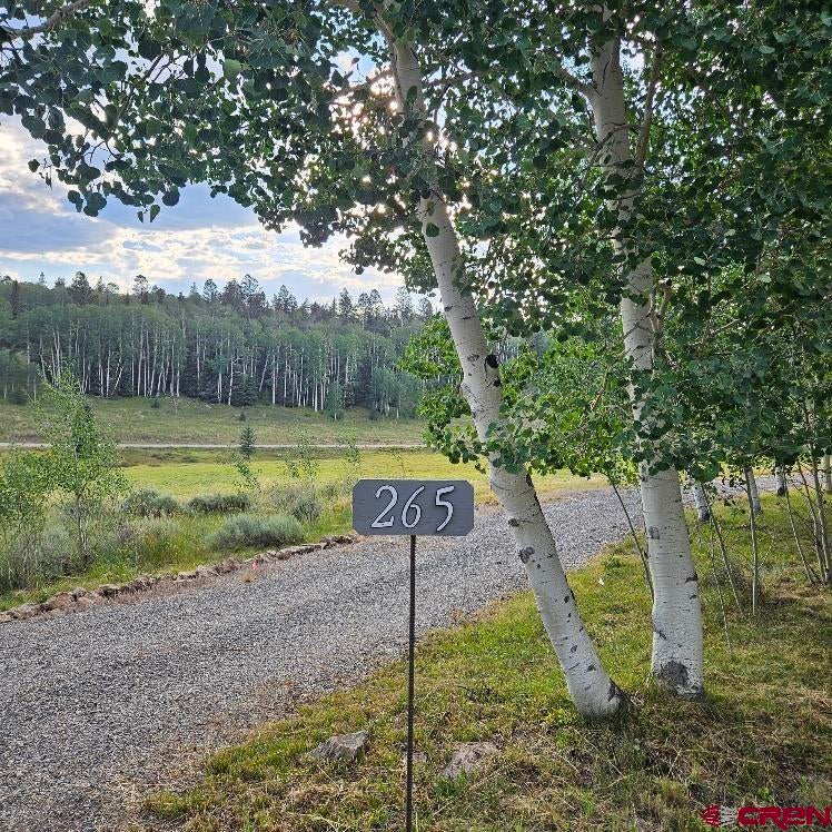 265 Ponderosa Way