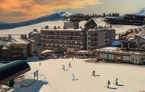 500 Gothic Road 435 Mt. Crested Butte CO 81225