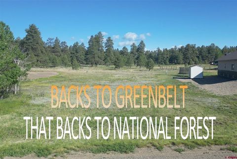 246 Periwinkle Drive Pagosa Springs CO 81147